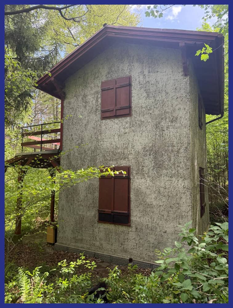 Verstecktes kleines Haus im Wald 1 Ansicht